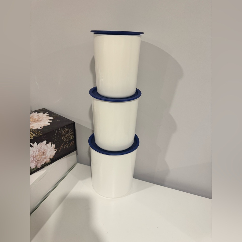 Vintage Tupperware One Touch Canisters Set of 3 with Lids Retro Kitchen Storage
